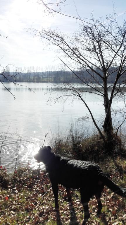 Gite Au Lac Du Gouyre Puygaillard-de-Quercy Luaran gambar