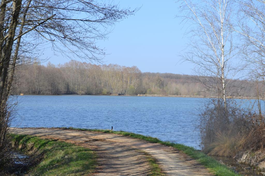 Gite Au Lac Du Gouyre Puygaillard-de-Quercy Luaran gambar